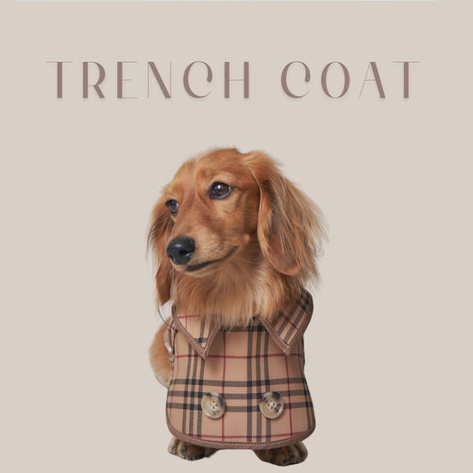 【再入荷】DOGGY TRENCH COAT ドギートレンチコート - pawdeadogwear