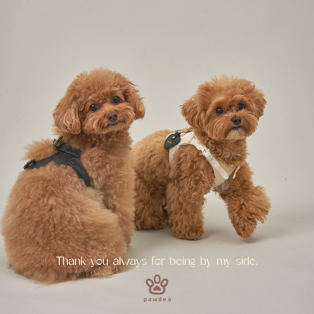 undercover FRAGMENT レザーチャーム 大 68_1200x1200.jpg?v=1732890225