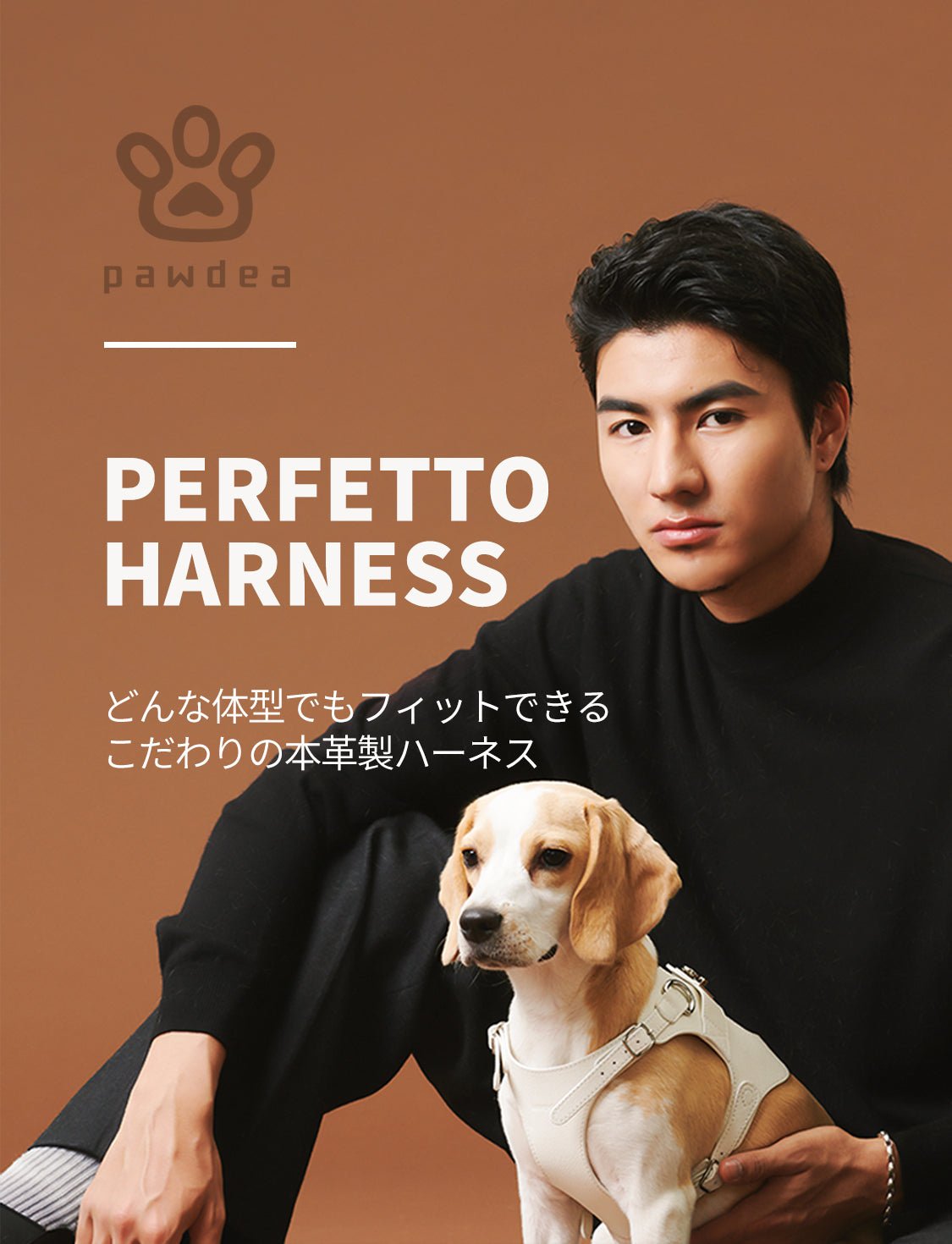 PERFETTO HARNESS 本革製ハーネスベスト BLACK – pawdea