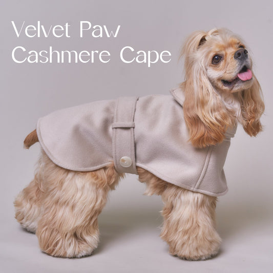 【限定予約販売】Velvet Paw Cashmere Cape TYPE A　ベルベットポーカシミヤケープ　タイプA - pawdeadogwear