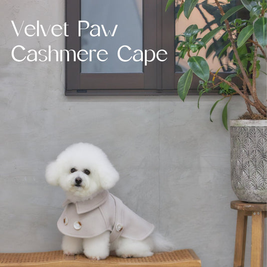 【限定予約販売】Velvet Paw Cashmere Cape TYPE B　ベルベットポーカシミアケープ　タイプB - pawdeadogwear